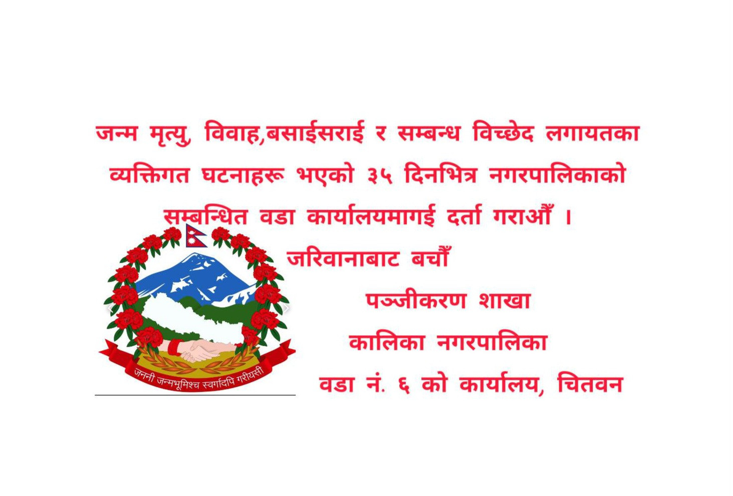 Nepal Insurance (Detail)